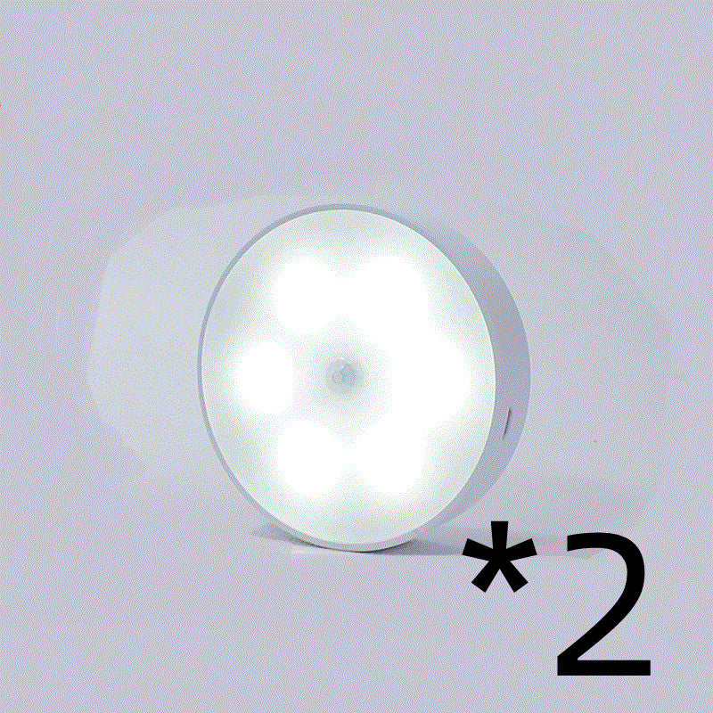 LumiSense Motion Sensor LED Light