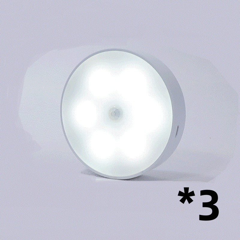 LumiSense Motion Sensor LED Light