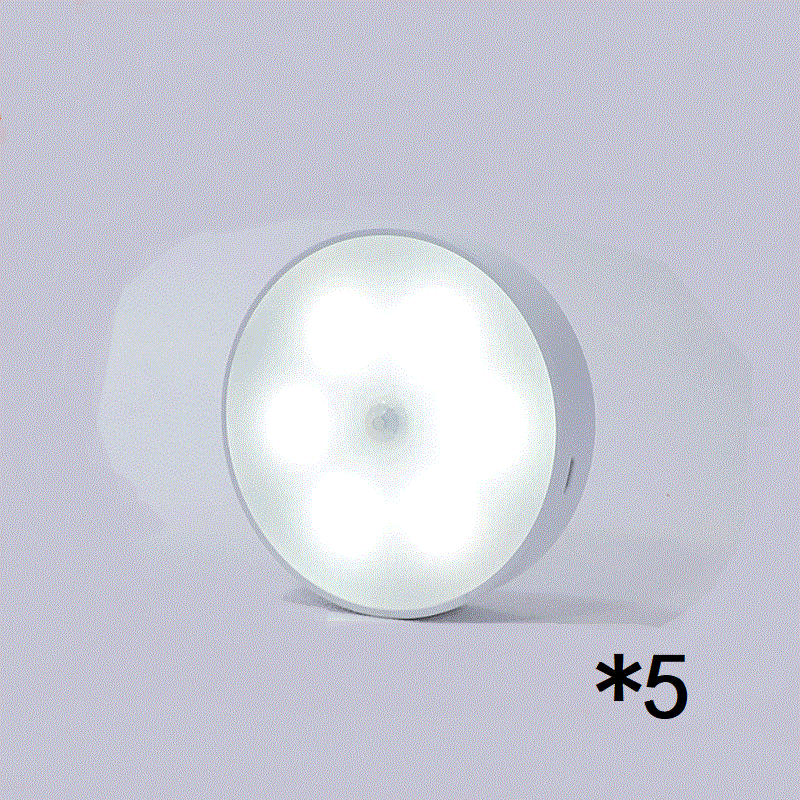 LumiSense Motion Sensor LED Light